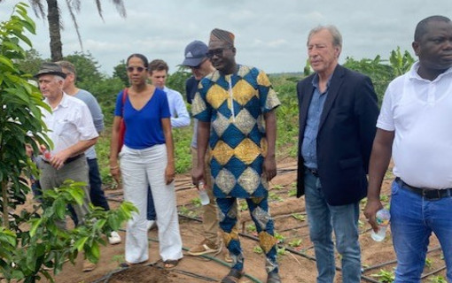 Une délégation d'élus, menée par Georges Siffredi, Président du Département des Hauts-de-Seine, s'est rendue sur une exploitation agricole au Bénin et a pu échanger avec les producteurs.