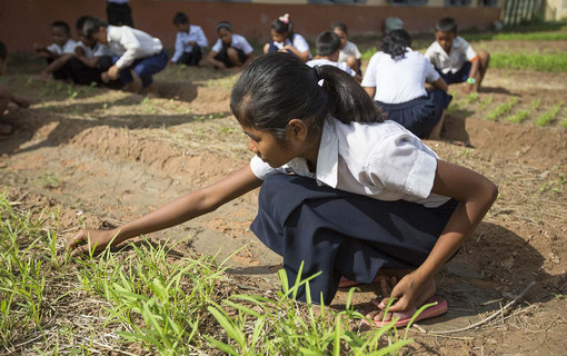 Siem Reap, Cambodge (2014)