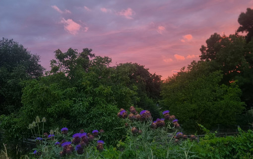 New photos ferme oct 2025