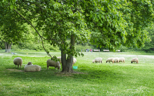 Ferme des Chanteraines