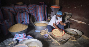 Une femme trie à travers un tamis des graines de soja