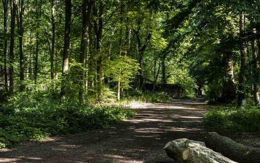 Face aux risques d’incendie, soyons tous vigilants