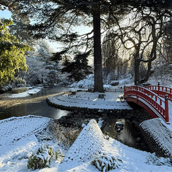 Le jardin japonais sous la neige, au mus&eacute;e Albert-Kahn &agrave; Boulogne-Billancoure sous la neige