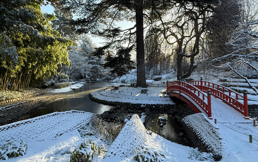 Les Hauts-de-Seine sous la neige