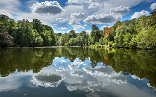 La biodiversité, un patrimoine essentiel 