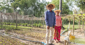 des agriculteurs dans une parcelle de cultures familiales 