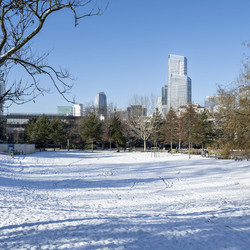 Vue sur La D&eacute;fense sous la neige depuis le parc de la Folie Saint-James &agrave; Neuilly-sur-Seine 