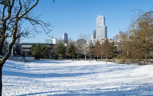 Le jardin d&eacute;partemental de la Folie Saint-James &agrave; Neuilly-sur-Seine le 6 d&eacute;cembre.