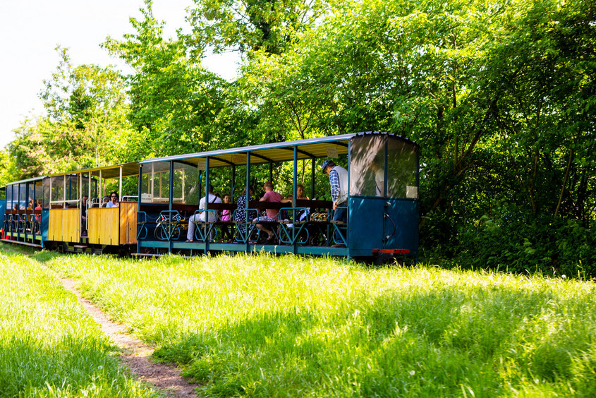 Un petit train touristique électrique et écologique 