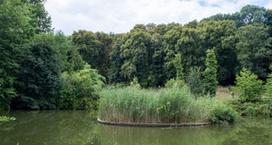 Plan d'eau au parc d&eacute;partemental de la Roseraie &agrave; Ch&acirc;tenay-Malabry