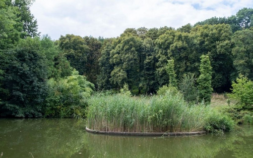 Plan d'eau au parc départemental de la Roseraie à Châtenay-Malabry
