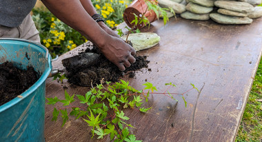 Ateliers de jardinage &agrave; l&rsquo;Arboretum &ldquo;Les mains dans la terre&rdquo;