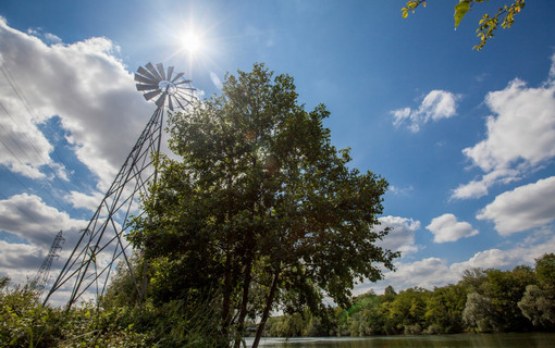 La semaine du d&eacute;veloppement durable dans les Hauts-de-Seine