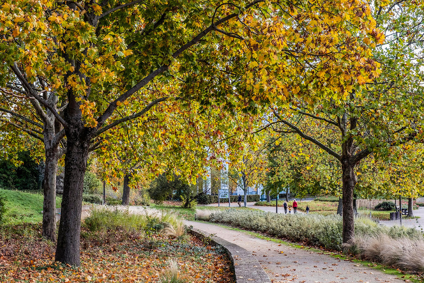 Le parc d&eacute;partemental Andr&eacute;-Malraux &agrave; Nanterre.