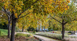 Le parc d&eacute;partemental Andr&eacute;-Malraux &agrave; Nanterre.