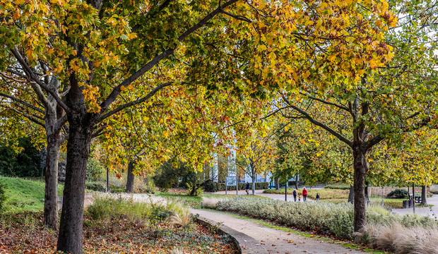 Le parc d&eacute;partemental Andr&eacute;-Malraux &agrave; Nanterre.
