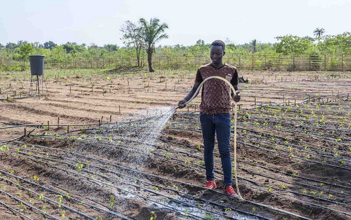 L'alimentation durable au coeur de la politique de coop&eacute;ration internationale du D&eacute;partement des Hauts-de-Seine