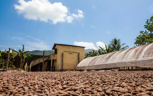 Galerie MasterPage Solidarite