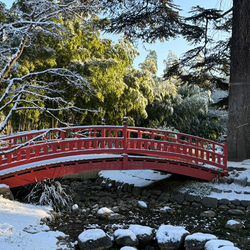 Le jardin japonais Albert-Kahn &agrave; Boulogne-Billancourt sous la neige