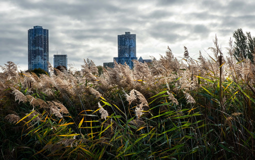 La biodiversité, un patrimoine essentiel 