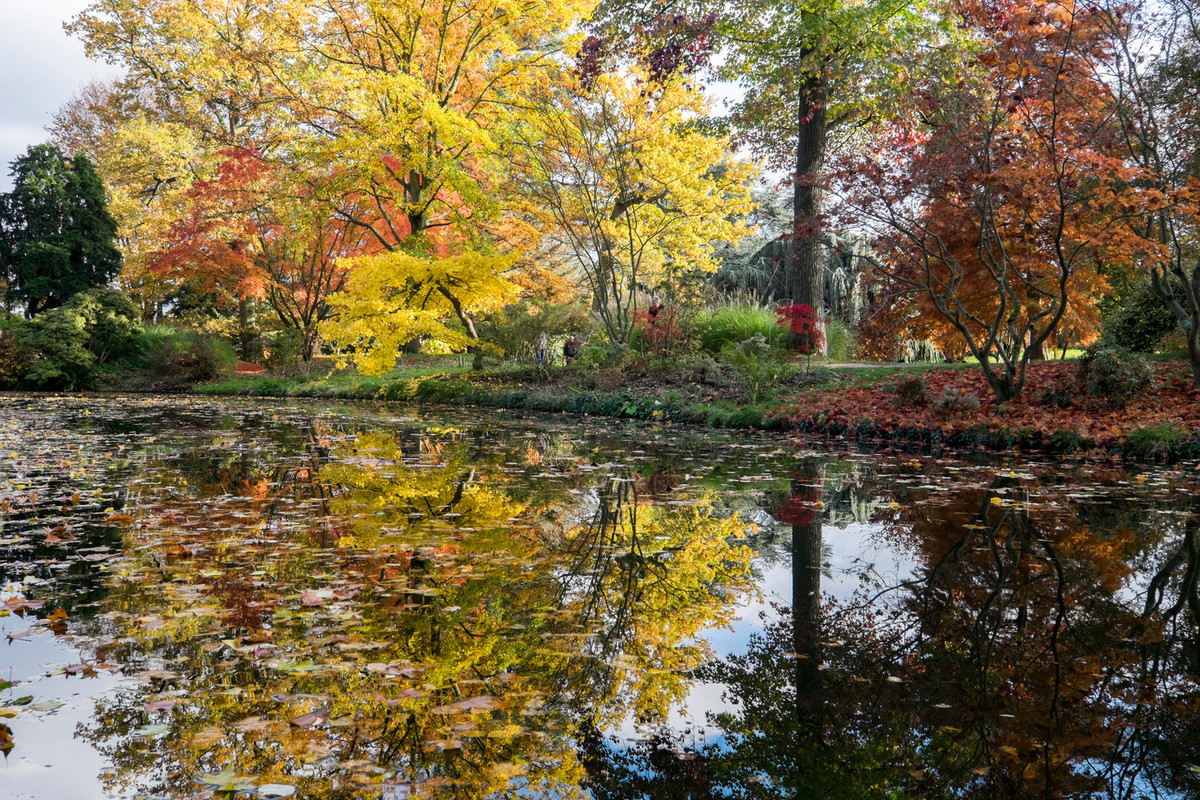 ARBORETUM DE LA VALLEE AUX LOUPS