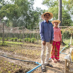 des agriculteurs dans une parcelle de cultures familiales 