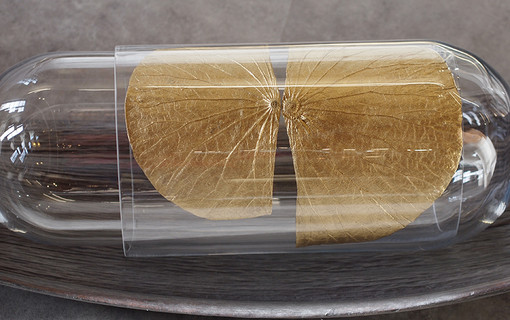 Renee ou la nature des choses une nouvelle exposition a la Maison de Chateaubriand a Chatenay-Malabry