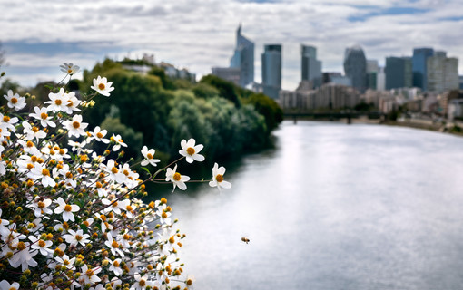 La biodiversit&eacute;, un patrimoine essentiel 