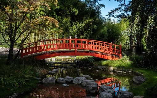 Les Hauts-de-Seine en automne