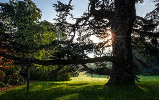 La biodiversit&eacute;, un patrimoine essentiel 
