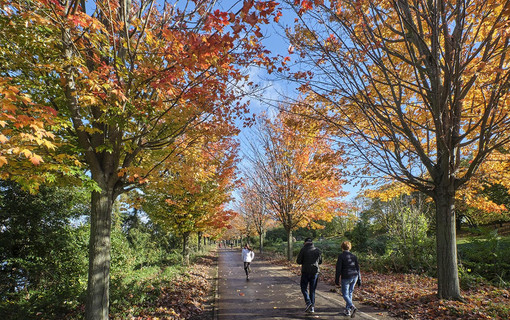 Les Hauts-de-Seine en automne