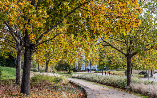 Le parc d&eacute;partemental Andr&eacute;-Malraux &agrave; Nanterre.