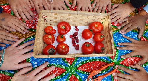 Le dispositif M&eacute;DDailles des Hauts-de-Seine vise &agrave; sensibiliser les coll&eacute;giens au d&eacute;veloppement durable en valorisant leurs projets et initiatives en faveur de l&rsquo;environnement.