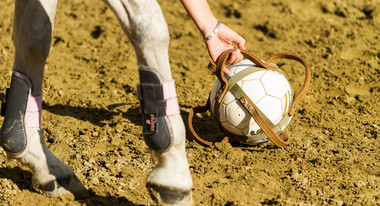Horse ball - foot à cheval