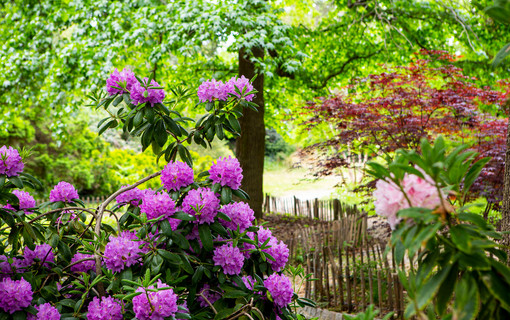 le jardin de collection du parc d&eacute;partemental Andr&eacute;-Malraux