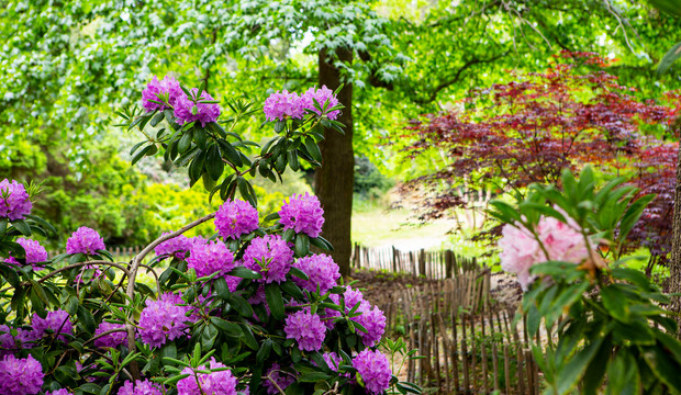 le jardin de collection du parc d&eacute;partemental Andr&eacute;-Malraux