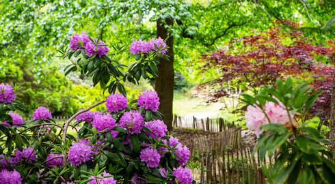 le jardin de collection du parc d&eacute;partemental Andr&eacute;-Malraux