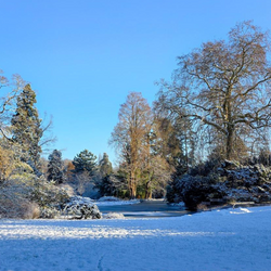 L'Arboretum de la Vall&eacute;e-aux-Loups sous la neige, Ch&acirc;tenay-Malabry