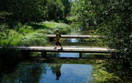 Un promeneur dans un des ilots de fraicheur au parc d&eacute;partemental du Chemin de l'&Icirc;le