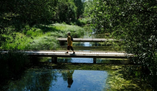 Un promeneur dans un des ilots de fraicheur au parc d&eacute;partemental du Chemin de l'&Icirc;le