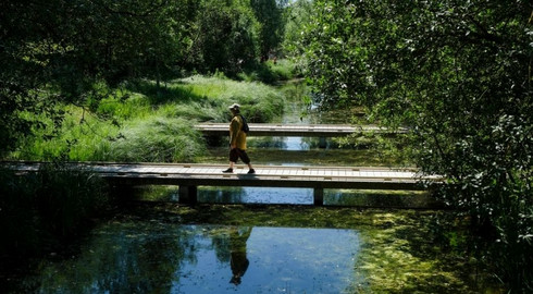 Un promeneur dans un des ilots de fraicheur au parc d&eacute;partemental du Chemin de l'&Icirc;le