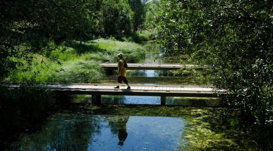 Un promeneur dans un des ilots de fraicheur au parc départemental du Chemin de l'Île