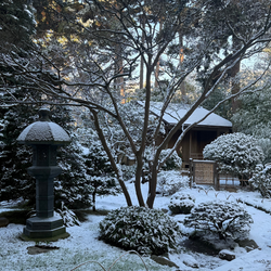 Le jardin japonais Albert-Kahn &agrave; Boulogne-Billancourt sous la neige
