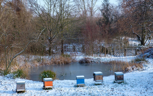 Un hiver dans les Hauts-de-Seine