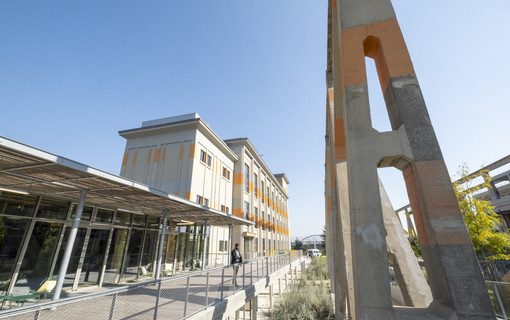 La visite de l Arboretum en images