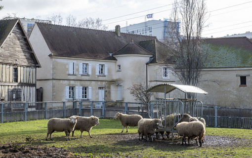 Ferme des Chanteraines