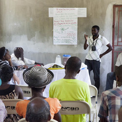 des producteurs haîtiens de cacao suivent une formation
