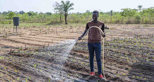 Un agriculteur arrose des plantations au Bénin