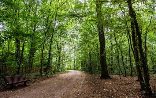 01.5 Gestion environnementale
