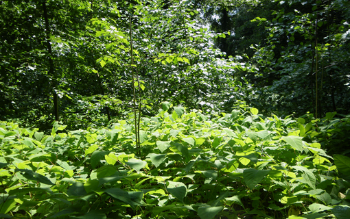 01.5 Gestion environnementale